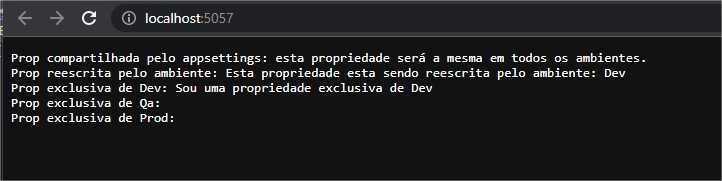 Saída Ambiente Dev
